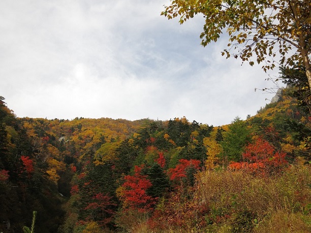 f:id:aohige0718:20170921224040j:plain f:id:aohige0718:20170921224040j:plain