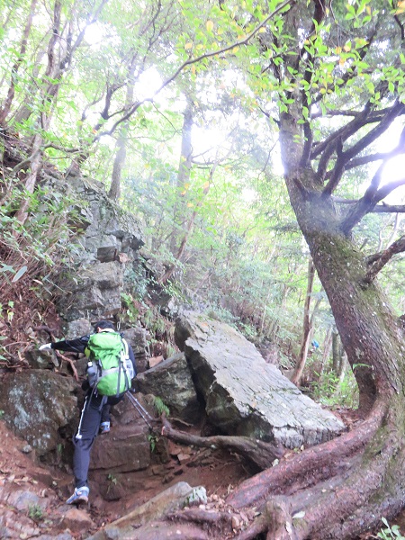 f:id:aohige0718:20170926171258j:plain 大岳山直下の岩場