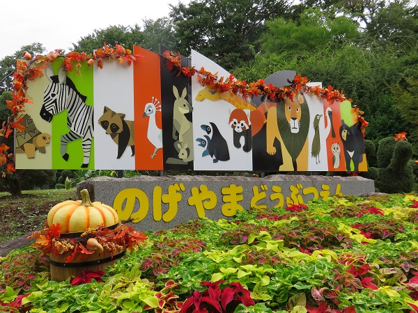 野毛山動物園特集 駐車場 混雑 アクセス ハロウィン 動物達の様子 自由気ままにアンザイレン