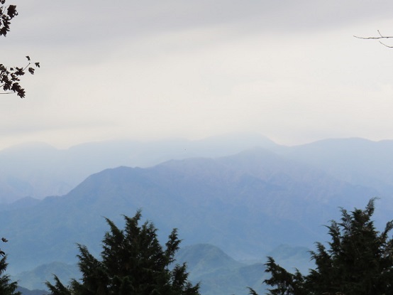 陣馬山の近くから丹沢山方面の景色