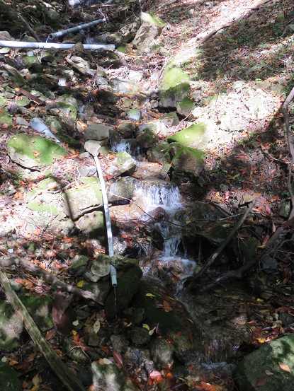 三方分山に登って行くと水場