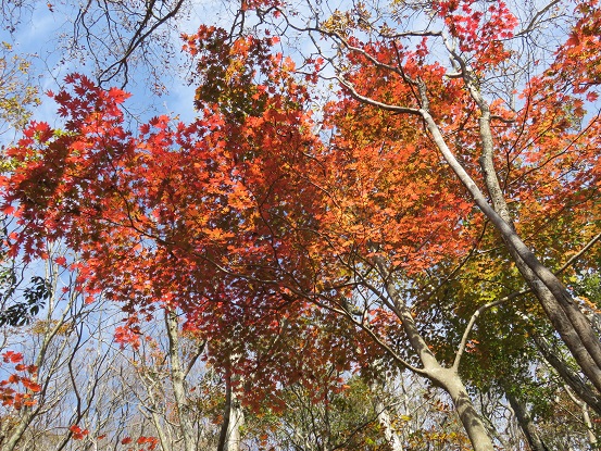 三方分山界隈の紅葉