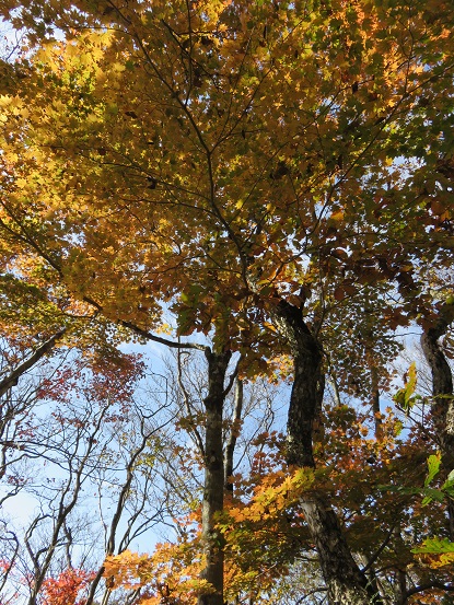 三方分山周辺の紅葉は素晴らしい