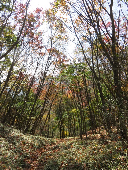 三方分山下部町方面