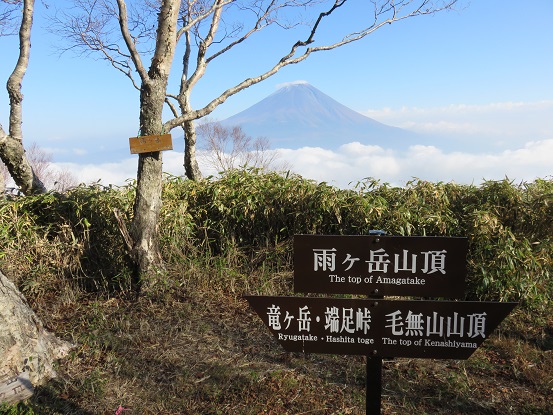 雨ヶ岳山頂富士山の絶景