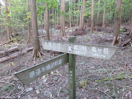 本栖湖畔の遊歩道