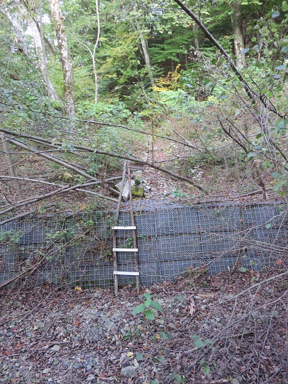 本栖湖畔の遊歩道道があまり良くなく