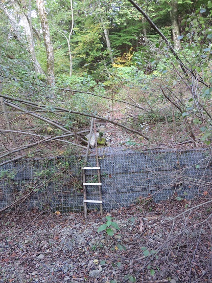 本栖湖畔の遊歩道道があまり良くなく