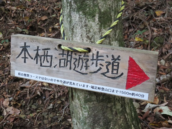 本栖湖遊歩道看板