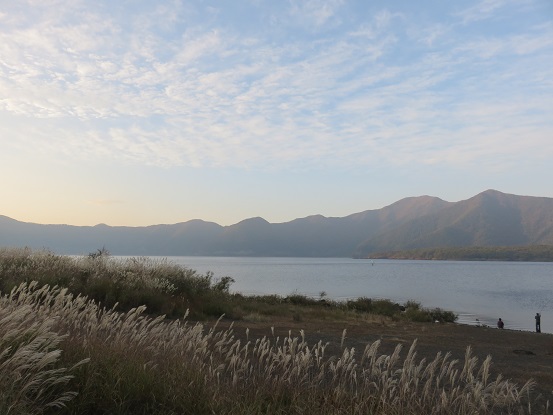 本栖湖の湖畔夕暮れ