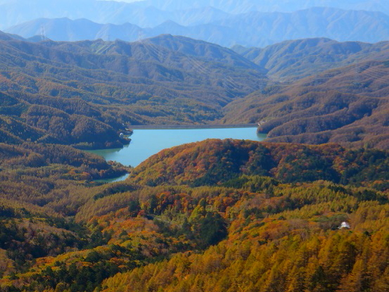 錦に輝く大菩薩湖落葉松の紅葉