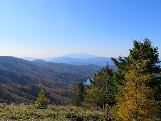 大菩薩の稜線の落葉松の紅葉