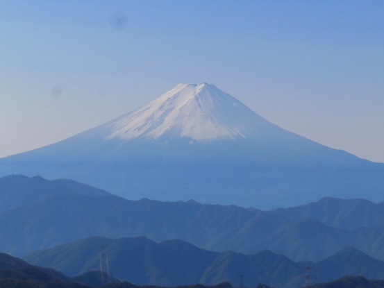 富士山と得体の知れない虫２匹