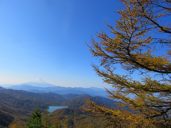 富士山を遠望