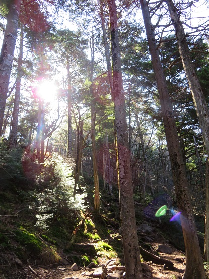 熊沢山・石丸峠へ至る稜線