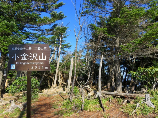 小金沢山