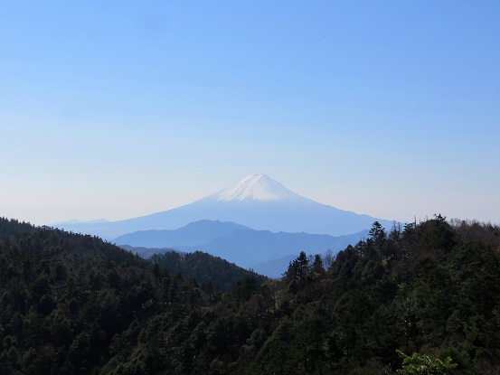 小金沢山からの富士山の景色