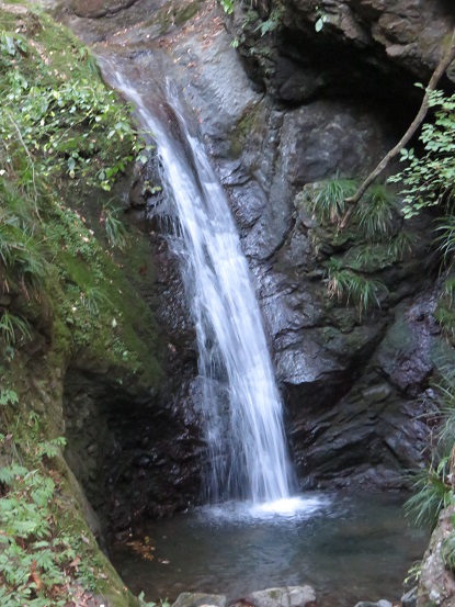 倉岳山の登山道沿いにあります小さな滝