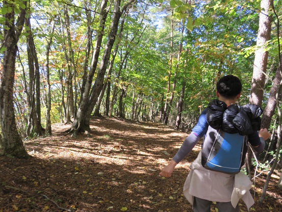 麗富嶽十二景、山梨百名山である高畑山登山ルート