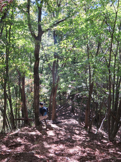 麗富嶽十二景、山梨百名山高畑山登山ルートの様子