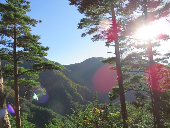 道志山塊の景色