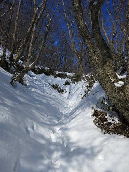 金時山・明神ヶ岳凄い雪の量