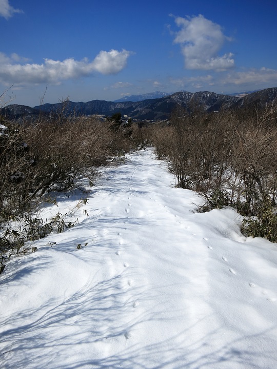 箱根の金時山登山