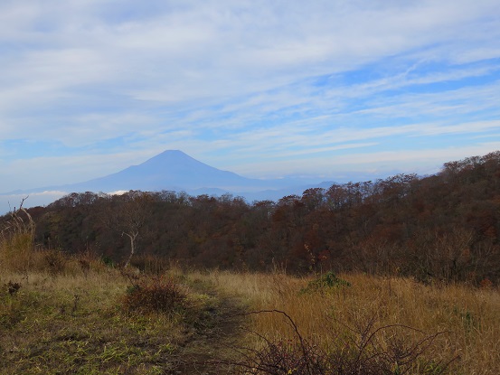 f:id:aohige0718:20171105224717j:plain 丹沢から見る富士山