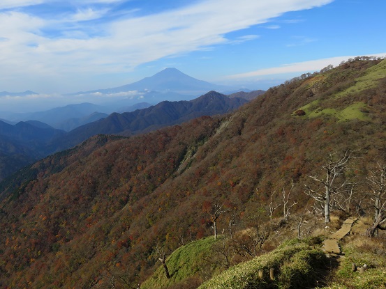 f:id:aohige0718:20171105225057j:plain 不動ノ峰と富士山のコラボ