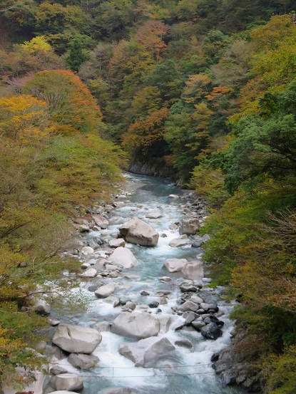 ユーシン渓谷紅葉