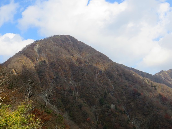 臼ヶ岳桧洞丸方面から見る蛭ヶ岳