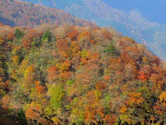 臼ヶ岳１１月下旬くらいまでは錦の世界