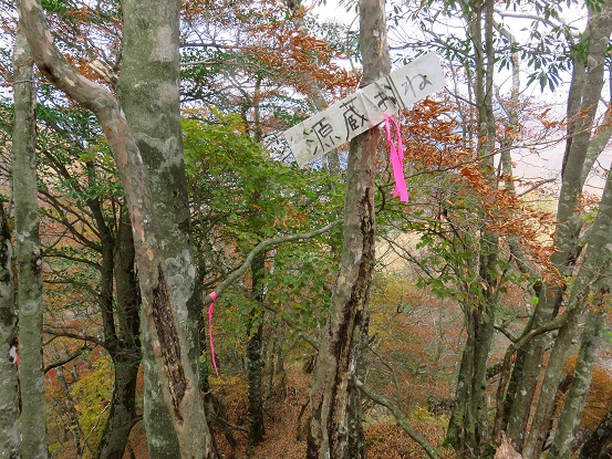 源蔵尾根