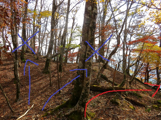 石棚山稜登山ルート