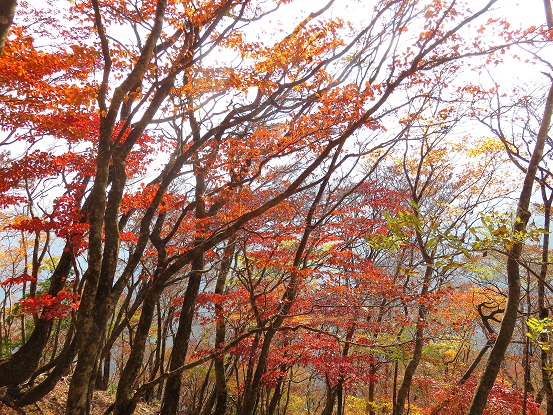 石棚山の急斜面