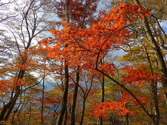 石棚山自然の宝庫