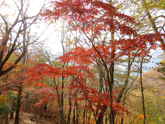 石棚山周辺の景色