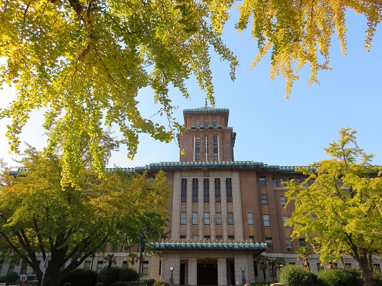 横浜日本大通りのイチョウ並木の紅葉