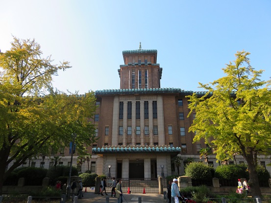 神奈川県庁イチョウ並木