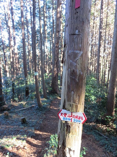 釜戸山への破線コース