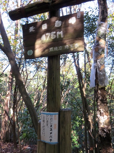 天目指峠