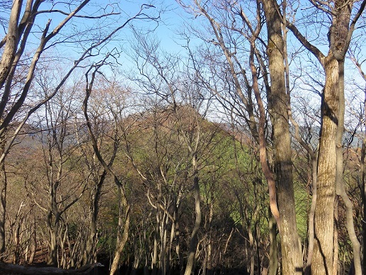 伊豆ヶ岳遠望