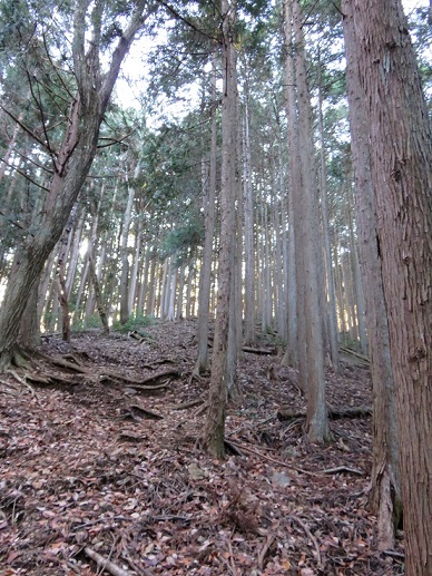 武川岳登山口