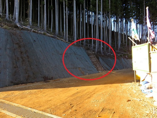 前武川岳への登山道