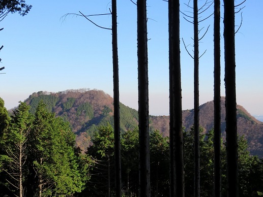伊豆ヶ岳と古御山