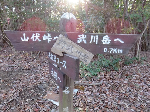 前武川岳