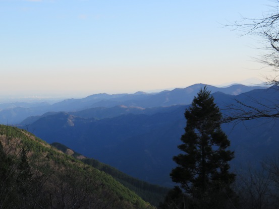 武川岳の山頂奥武蔵の山々の眺め
