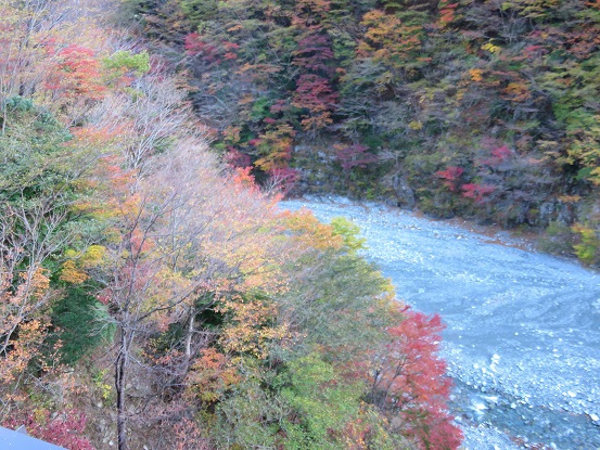 f:id:aohige0718:20171114200406j:plain 神ノ川の紅葉