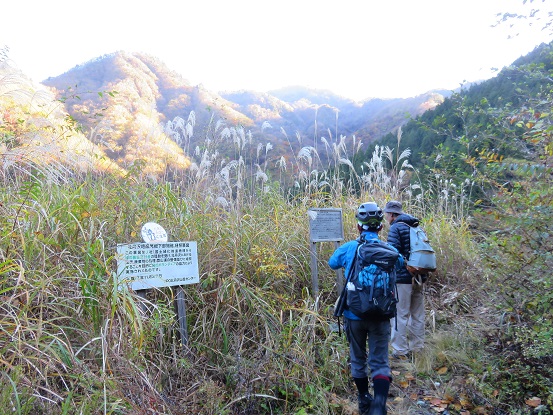 f:id:aohige0718:20171114200449j:plain 広河原地蔵尾根降下地点