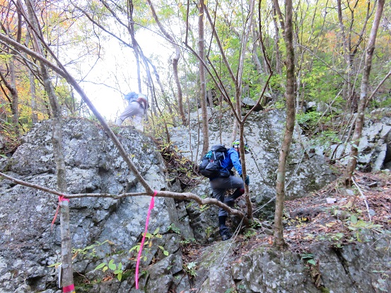f:id:aohige0718:20171114200640j:plain 丹沢屈指の難ルート地蔵尾根・地蔵岳・地蔵平登山道
